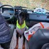 Hundeschule
