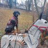 Hundeschule